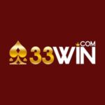 33winsrl