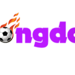 bongdaso66design
