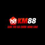km88ws