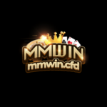 mmwincfd