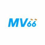 mv66procom