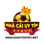 nhacaiuytintotnet
