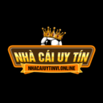 nhacaiuytinvionline