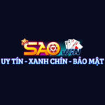SAOWIN