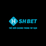 shbetis2