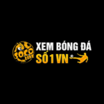 socolivetoday1