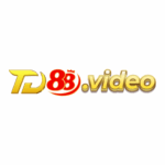 td88video2