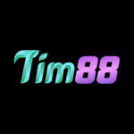 tim88today