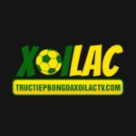 tructiepbongdaxoilactvcom tructiepbongdaxoilactvcom