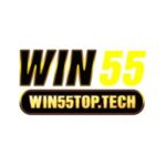 win55toptech