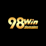 98windomains