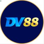 dv88procom