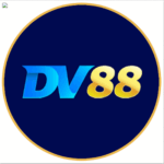 dv88vipcom