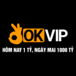 okvipdiy