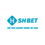 shbet800comnc
