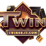 twin68itcom