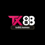 tx88homes